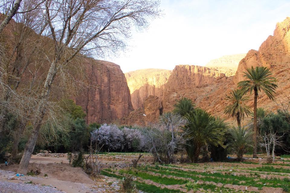 Dar Ayour Todra Gorges Ait Baha ภายนอก รูปภาพ